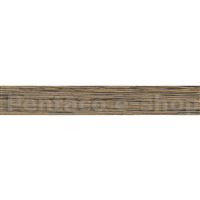 HABS-Dub hnědý H3154  HD 243154  2x42